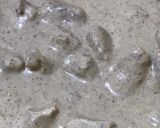 A picture of step 4 of Mughlai Beef.