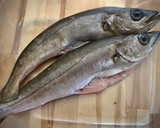 Foto del paso 1 de la receta: Jurel guisado con patata y cebolla