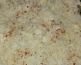 A picture of step 6 of Creamy Lasagna.