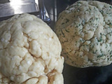 Stik Bawang