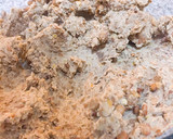 Foto del paso 2 de la receta: Hamburguesas de lentejas en Pan Nube (sin TACC)