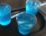 A picture of step 3 of Citrus Blue lounge Sharbat.