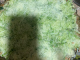 Pastel de zapallo italiano