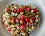 A picture of step 2 of Sprouted Green Gram Salad/Hesarukalu Kosambari - Low calories  and high on nutrients.
