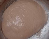 Foto langkah ke 5 dari resep Orange Peel Double Choco Sourdough Bread 74% (Open Bake Method).