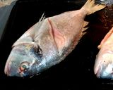 Foto del paso 3 de la receta: Dorada a la plancha