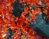 Foto langkah ke 2 dari resep Ikan Nila Balado.