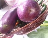 Foto langkah ke 14 dari resep Sayur Lodeh Terong No Tumis No Uleg No Ribet aka Plung".