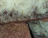 Foto del paso 8 de la receta: Bizcochuelo esponjoso
