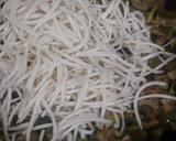 வெஜ் எக் நூடுல்ஸ் ரெசிபி ஸ்டேப் 5 புகைப்படம்