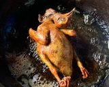 Foto langkah ke 5 dari resep Burung dara / merpati goreng.