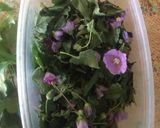 Foto del paso 1 de la receta: Caldo de quelite violeta