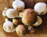 Gombapaprikás recept fázis 1 fotója
