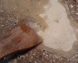 A picture of step 8 of Porkchops, Gravy, with Cashew Pork Dressing.