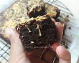 Foto langkah ke 15 dari resep Brownies keju.