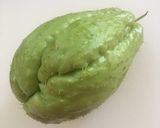 Foto del passaggio 1 della ricetta Farfalle alla crema di zucchine e pancetta croccante