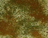 Foto del paso 3 de la receta: Milanesas de cerdo doble