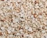 गुड चिक्की (Gur chikki recipe in hindi) रेसिपी चरण 1 फोटो