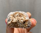 Foto del paso 3 de la receta: Trufas heladas