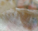 Foto langkah ke 10 dari resep Risol Makaroni Smoked beef.