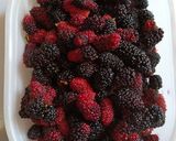 Foto langkah ke 1 dari resep Mulberry Sorbet.