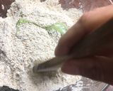 Foto del paso 3 de la receta: Pan Hulk - 50% integral