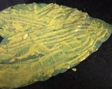 A picture of step 3 of Colocasia Leaves (Paatra).