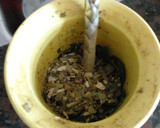 Foto del paso 2 de la receta: Mate Menta-Limón