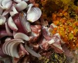A picture of step 3 of Sauteed beef with caramalised onion.