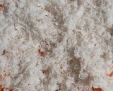 Foto langkah ke 1 dari resep Putu Ayu Labu Parang.