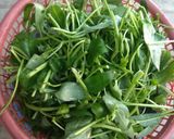 Foto langkah ke 1 dari resep Tumis kangkung terasi.