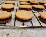 Foto del paso 10 de la receta: Galletas de avellana y chocolate rellenas de Nutella