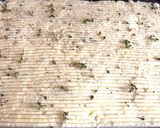 A picture of step 8 of Shepherd’s pie (Herders pastei).