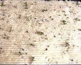 A picture of step 8 of Shepherd’s pie (Herders pastei).