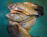Foto langkah ke 1 dari resep 93. Ikan nila bumbu Bajak.