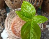 Une image de l'étape 4 de 🌿Jus de tomate basilic citron.