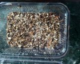 A picture of step 5 of Chocolate sweet.