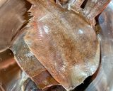 Foto langkah ke 2 dari resep Ikan Karei / Ikan Sebelah / Flatfish Goreng Tepung Renyah dengan Sambal Kecap.