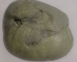 Foto langkah ke 19 dari resep Pandan Charcoal Sourdough Bread (88% - Oven Tangkring).