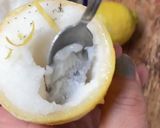 Une image de l'étape 8 de 🌻CITRON 🍋 GIVRÉ 🍃FRAÎCHEURE 🪻PARFUMÉE.