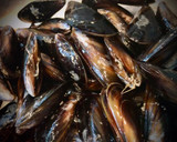 Foto del paso 1 de la receta: Arroz al azafrán con mejillones y almejas