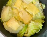 高鈣起司高麗菜煨菜的食譜步驟1照片