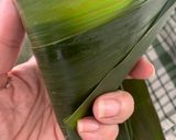 Foto langkah ke 13 dari resep Bacang Ketan + tips.