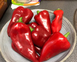 Foto del paso 1 de la receta: Pimientos de piquillo al natural asados y caramelizados