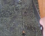 Foto del paso 10 de la receta: Nigiri con salmón y Nori