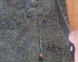 Foto del paso 10 de la receta: Nigiri con salmón y Nori