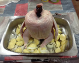 Foto del paso 2 de la receta: Pollo satisfecho (borracho)