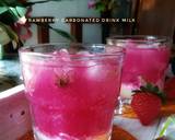 Cara Membuat Strawberry Carbonated Drink milk 3