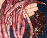 Foto langkah ke 1 dari resep Kacang Panjang Ungu masak Opor.