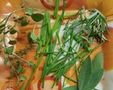 Foto del paso 2 de la receta: Ravioles con pesto de radicheta y de hierbas  en mixer